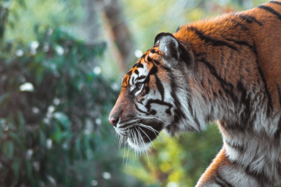 ad7bce37e2eece04e69052281aa0f2dc