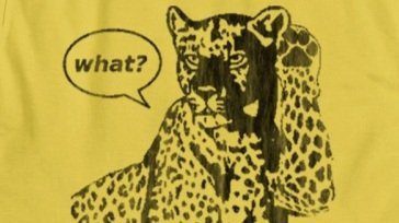 c687ae08d6d338d7b84f094a9dc32b22