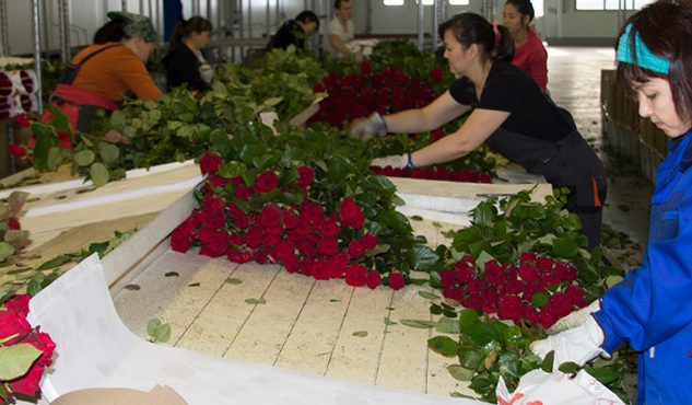 695374b19cdf4645a9461bd92cbfb3b0.jpg.633x370 q100 crop smart