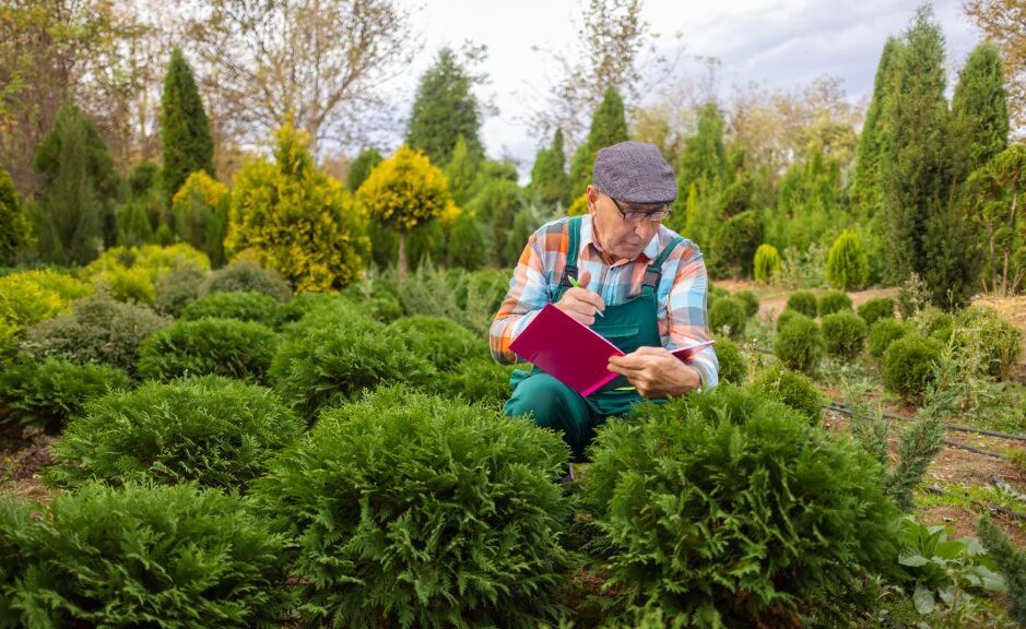 67MGLE7FCptzWK9S5yZzxM